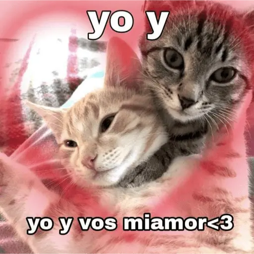stickers_😏_PARA_LIGAR_😏