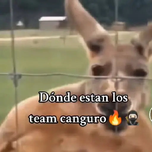 stickers_Team_Canguro_