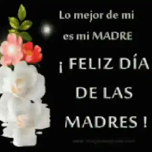 stickers_Día_de_las_Madres💕💐