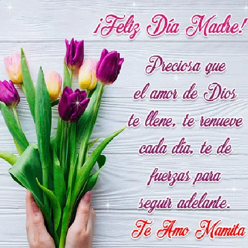 stickers_Día_de_las_Madres💕💐