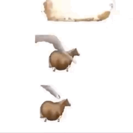 stickers_fat_horse_|_Spinning_horse_🐎