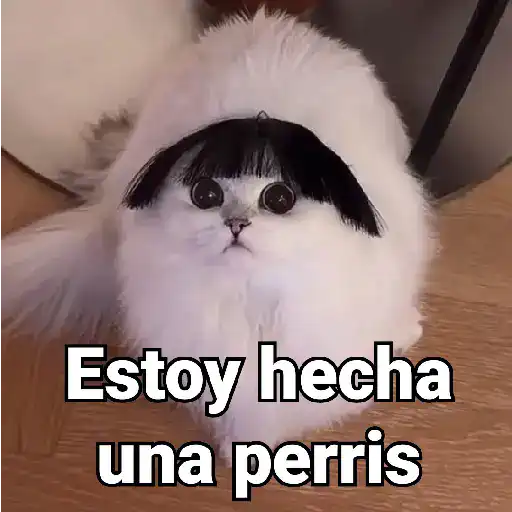 stickers_Gatos_Animados😺