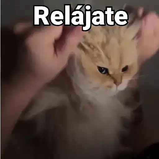 stickers_Gatos_Animados😺