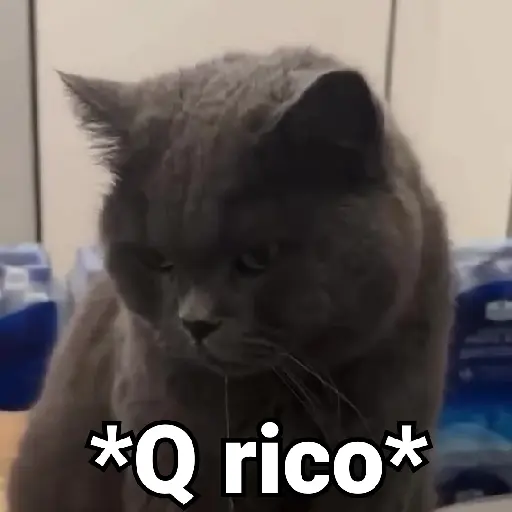 stickers_Gatos_Animados😺