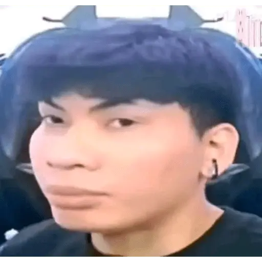 stickers_wielino_meme