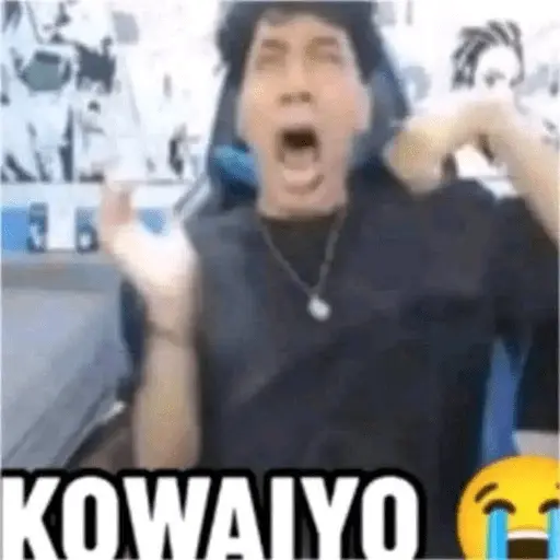 stickers_wielino_meme