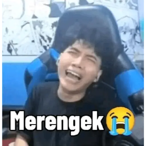 stickers_wielino_meme