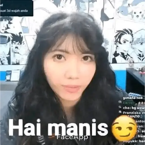 stickers_wielino_meme
