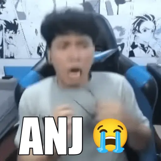 stickers_wielino_meme