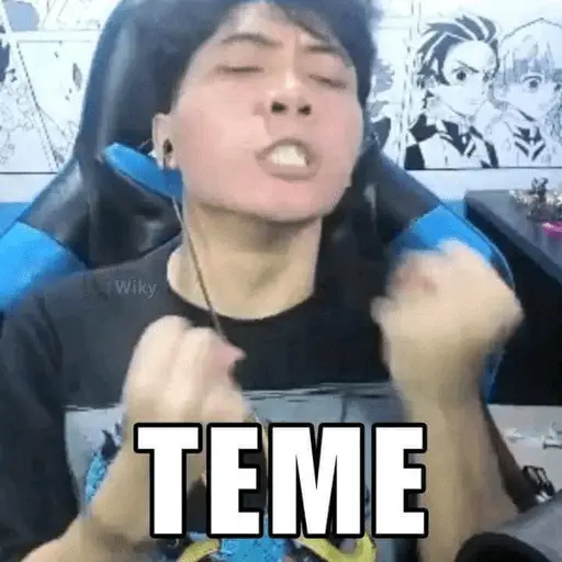 stickers_wielino_meme