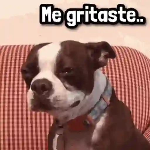 stickers_🍿_Mix_Frases!_#➎