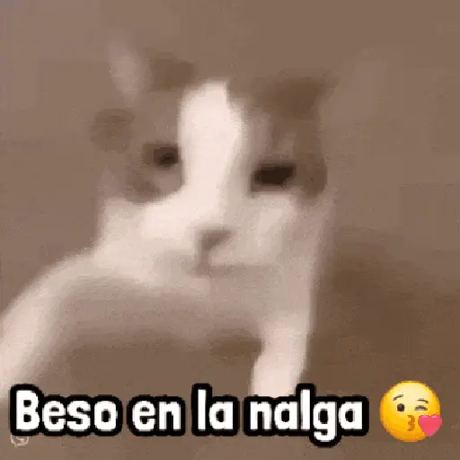 stickers_🍿_Mix_Frases!_#➎