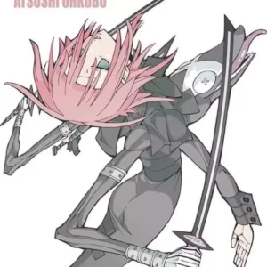 SOUL EATER N.17