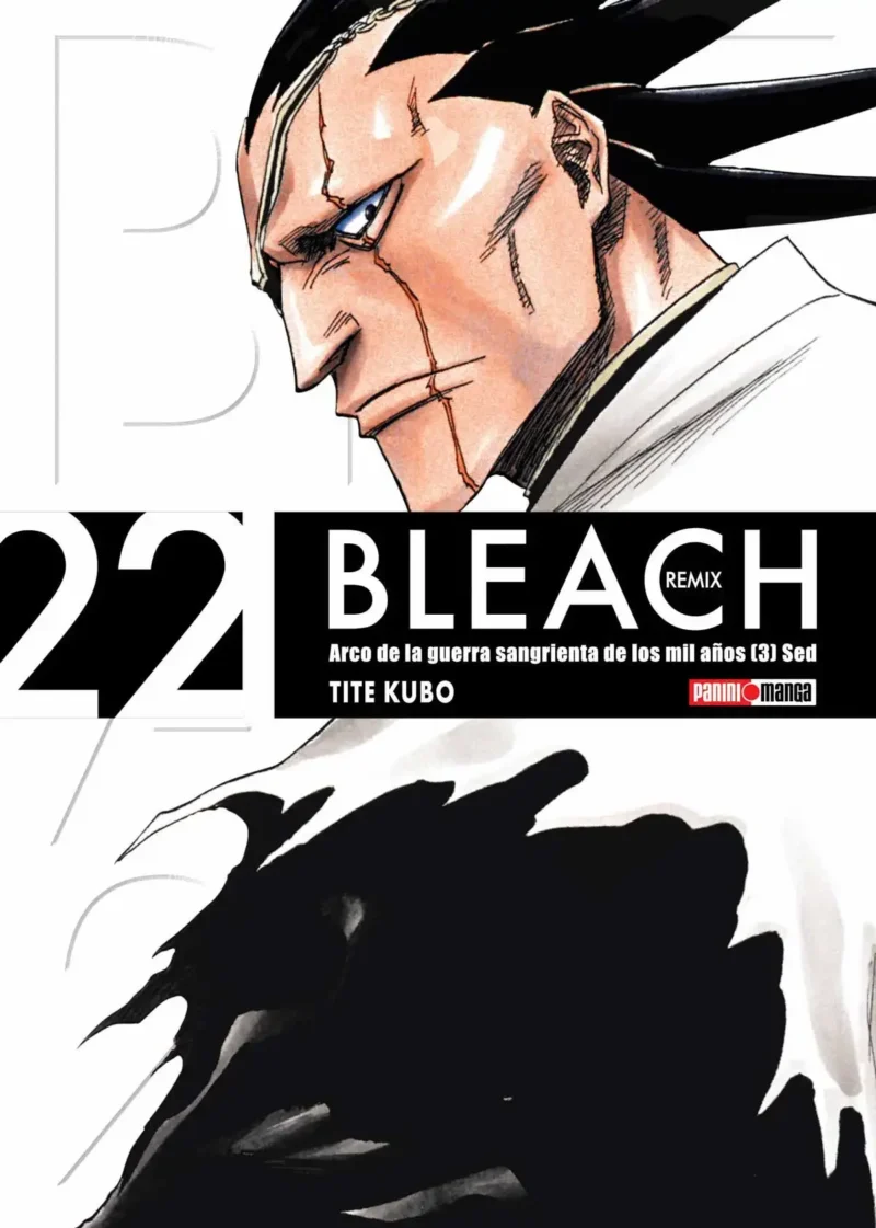 BLEACH REMIX N.22