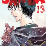 SANDA 13