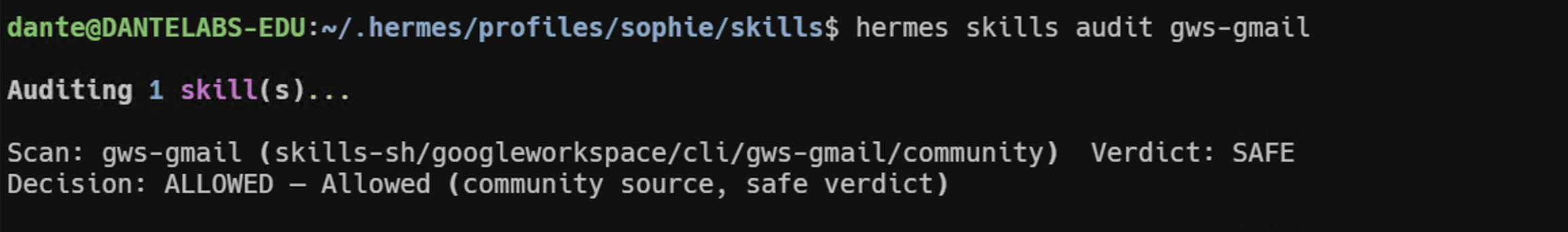 hermes skills audit gws-gmail 실행 결과. Verdict: SAFE, Decision: ALLOWED (community source, safe verdict)로 보안점검을 통과한 터미널 화면