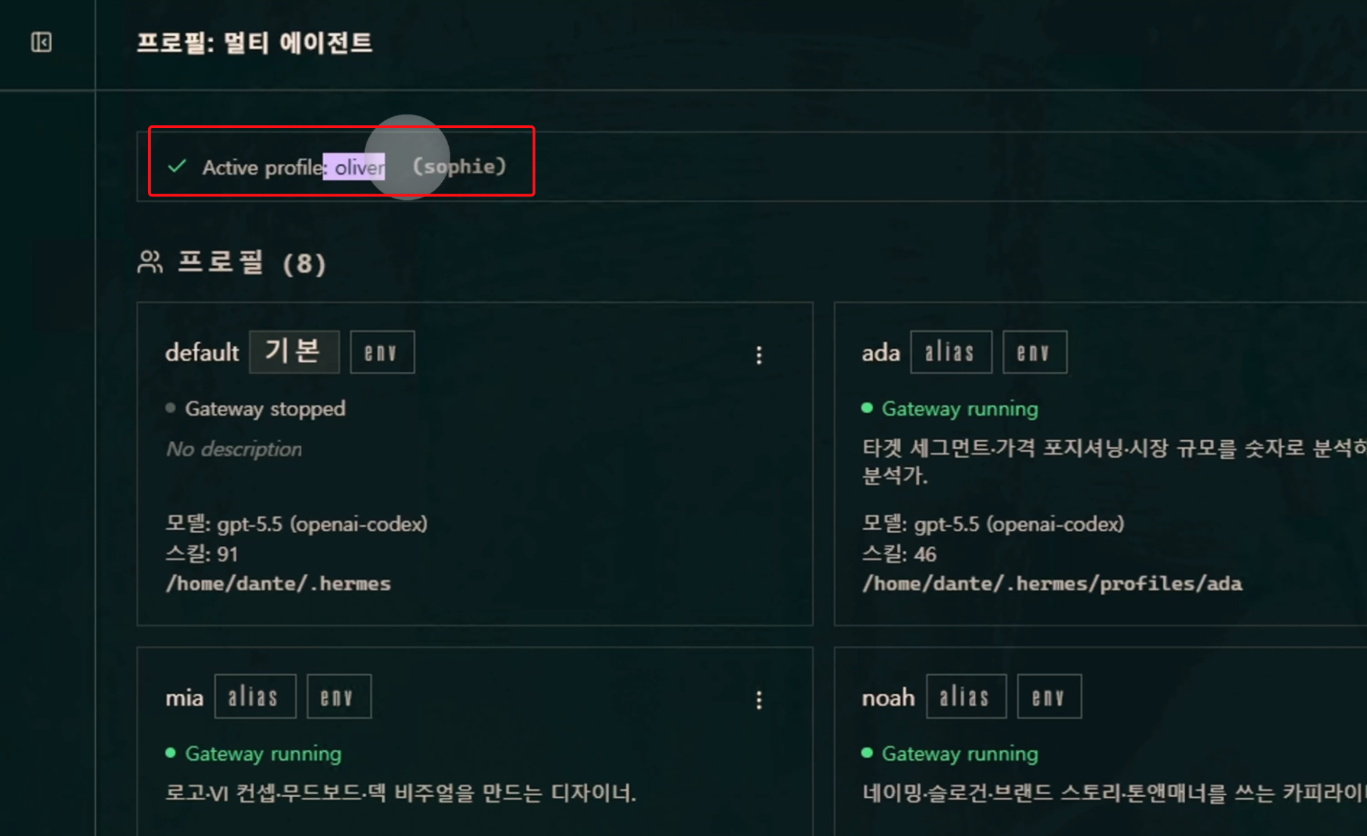 Active profile이 oliver인데 괄호에 sophie가 표시된 대시보드 프로필 화면