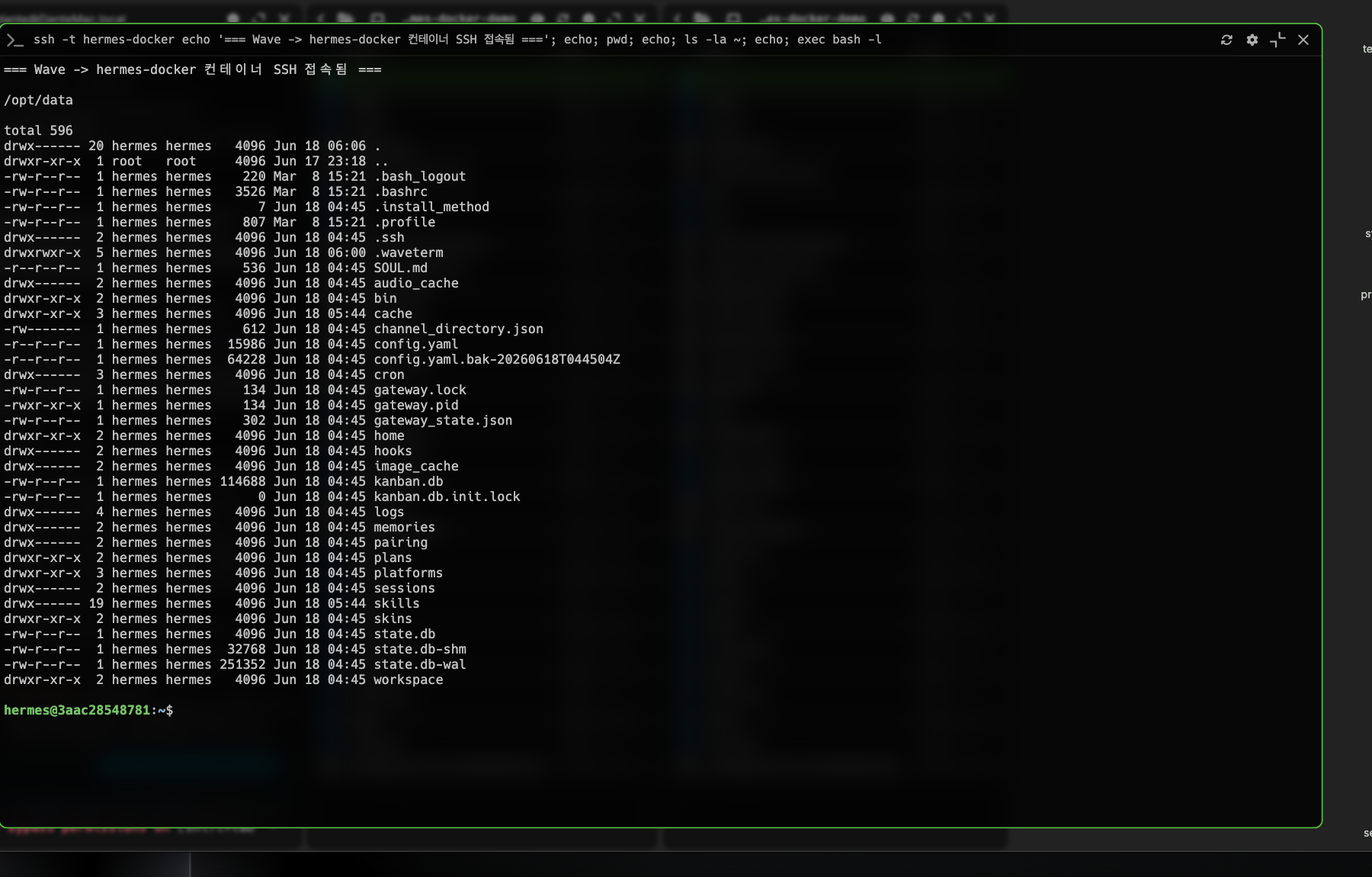 Wave 터미널에서 hermes-docker 연결로 컨테이너에 SSH 접속해, 홈인 /opt/data의 헤르메스 파일(config.yaml·SOUL.md·skills·memories)과 컨테이너 프롬프트(hermes@…)가 보이는 화면