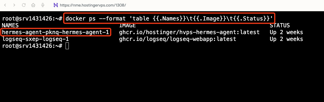 VPS host 터미널에서 docker ps 명령을 실행한 화면. NAMES 열의 hermes-agent-pknq-hermes-agent-1 값과 입력한 명령이 빨간 테두리로 강조되어 있으며, 이 이름을 다음 docker exec 명령에 사용한다.