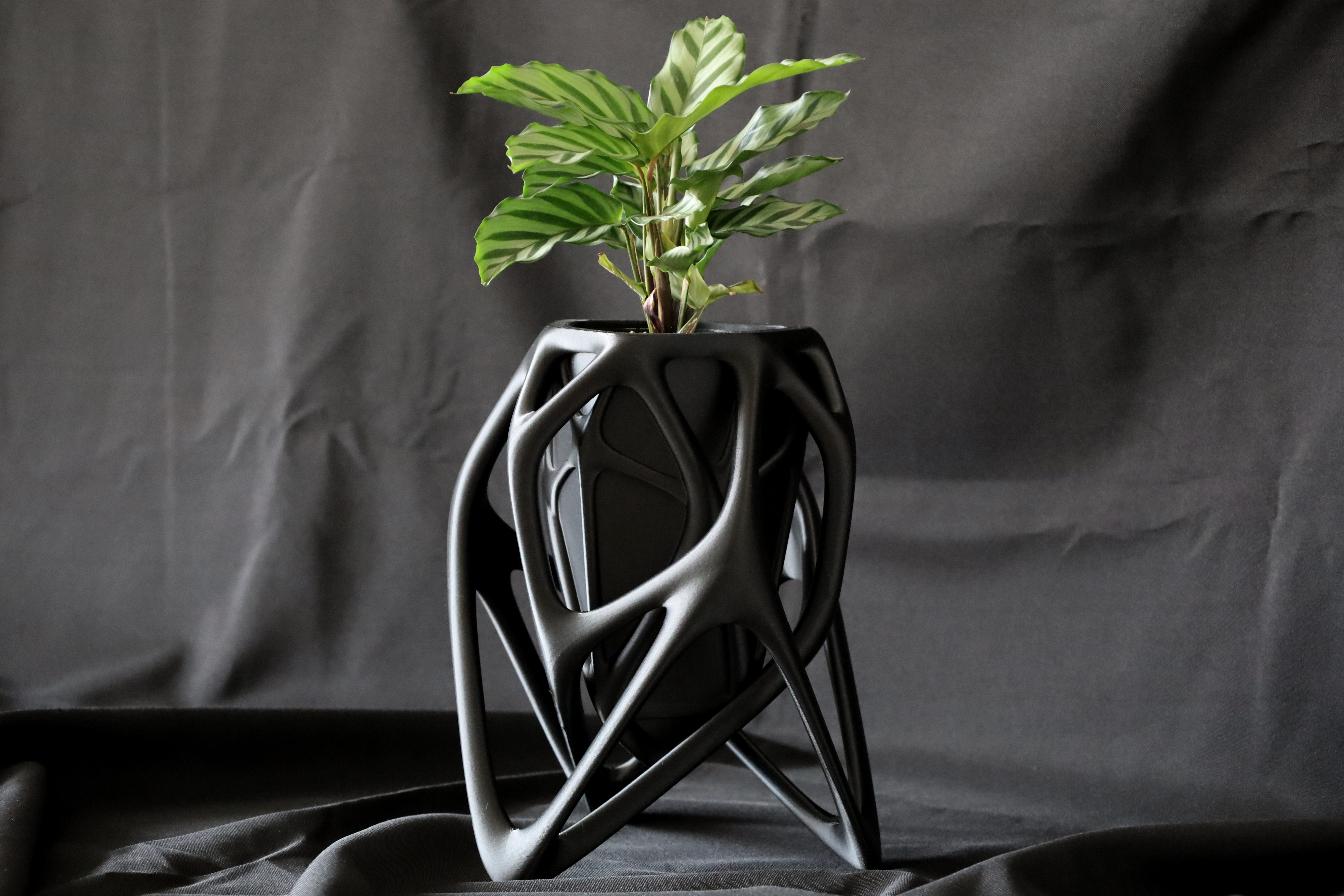 IAP Skeleton Planter