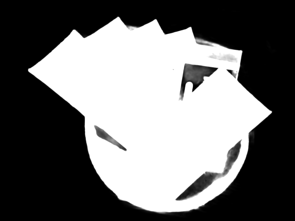 Segmentation Mask