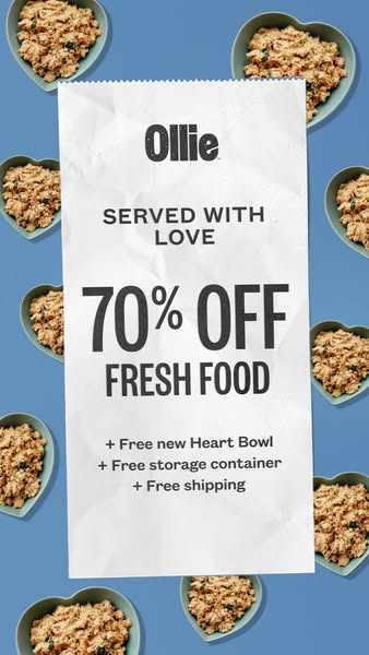 Input creative asset