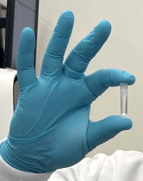 Small but mighty: This tiny tube holds genomic DNA from 192 cats!