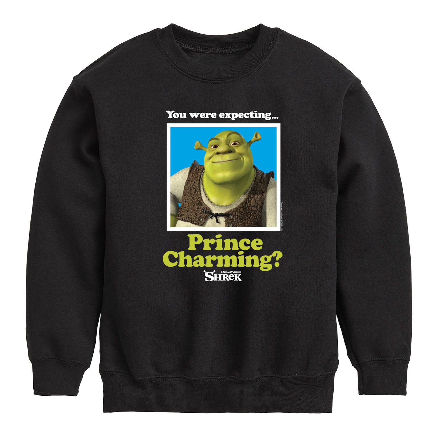 Boys 8-20 Shrek Prince Charming Graphic Fleece Sweatshirt