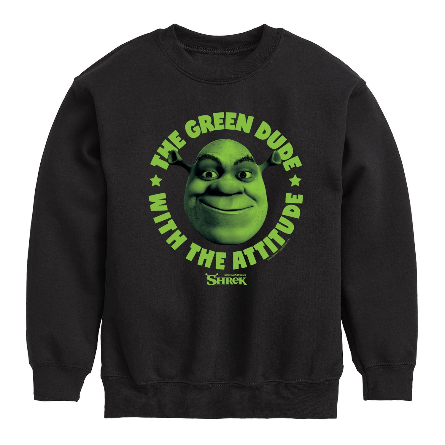 Boys 8-20 Shrek Green Dude Attitude Graphic Fleece Sweatshirt