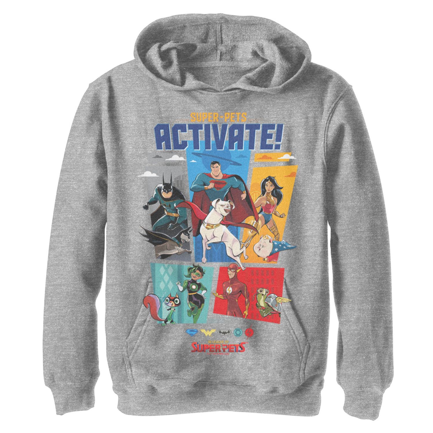 Boys 8-20 DC Super Pets Activate Superheros And Best Friends Panels Unisex Hoodie