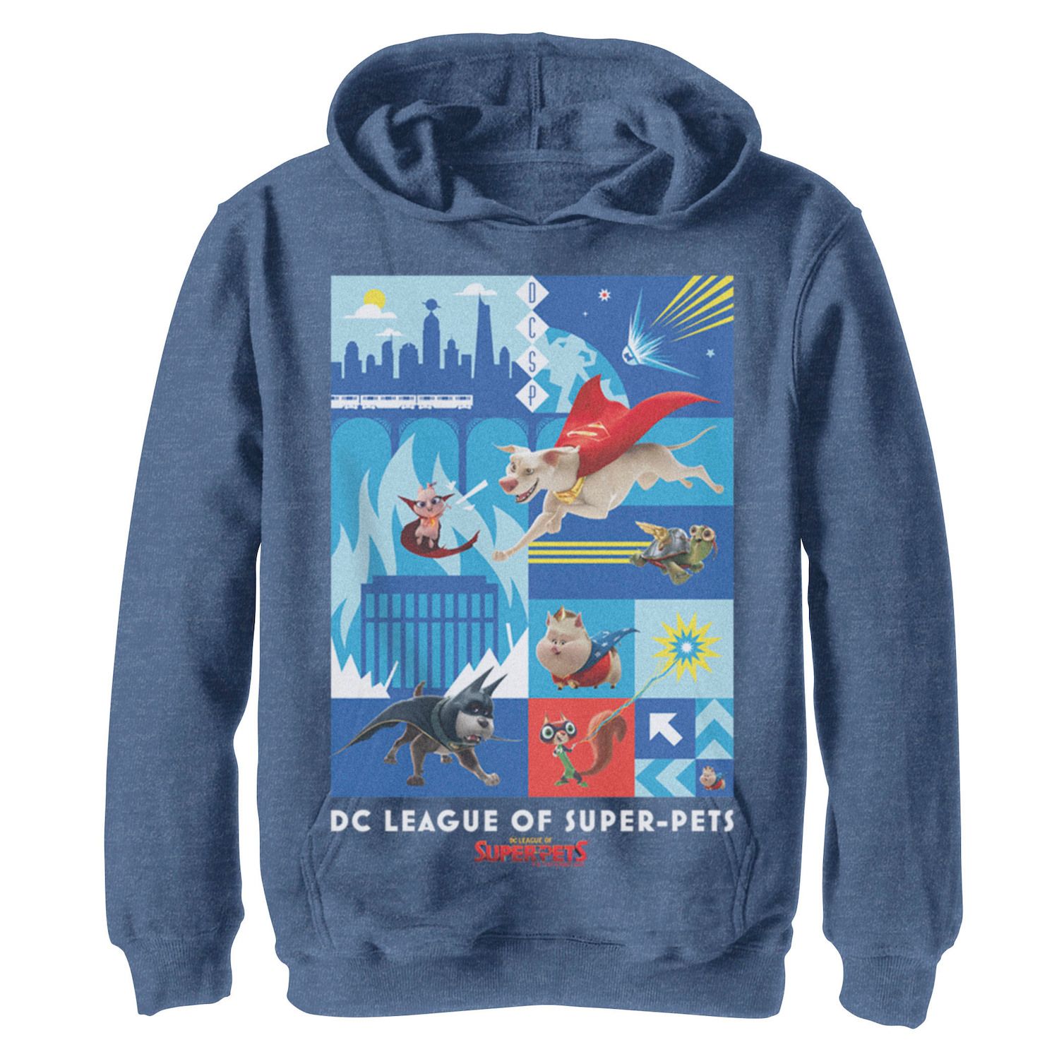 Boys 8-20 DC Super Pets Block Panels Unisex Hoodie