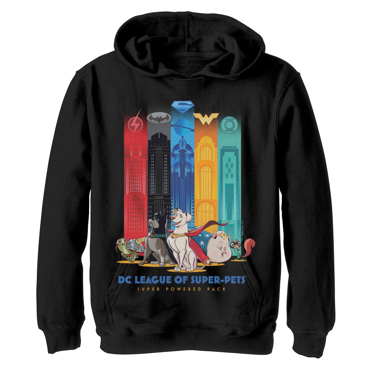 Boys 8-20 DC Super Pets Groupshot Unisex Hoodie