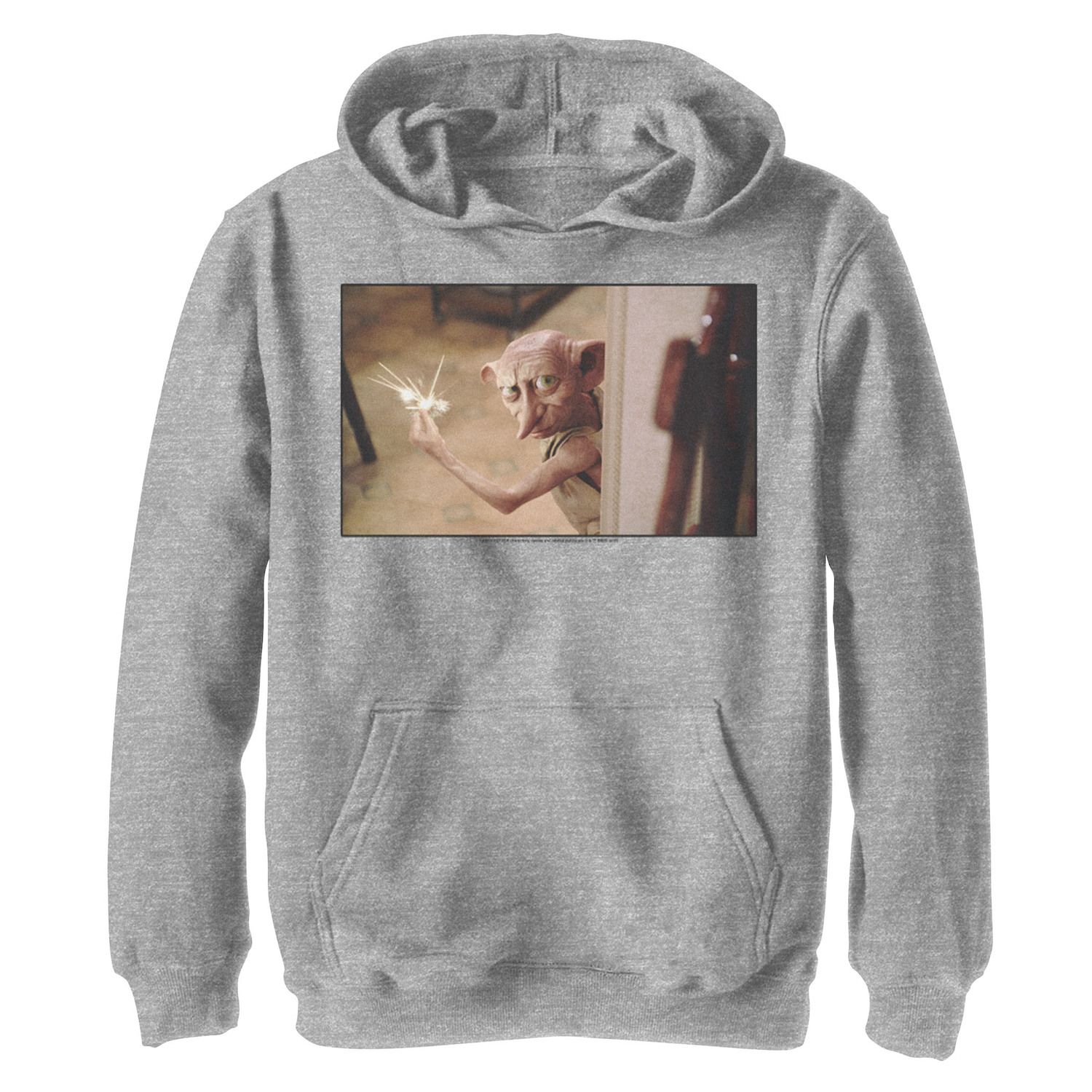 Boys 8-20 Chamber Of Secrets Dobby Graphic Fleece Unisex Hoodie