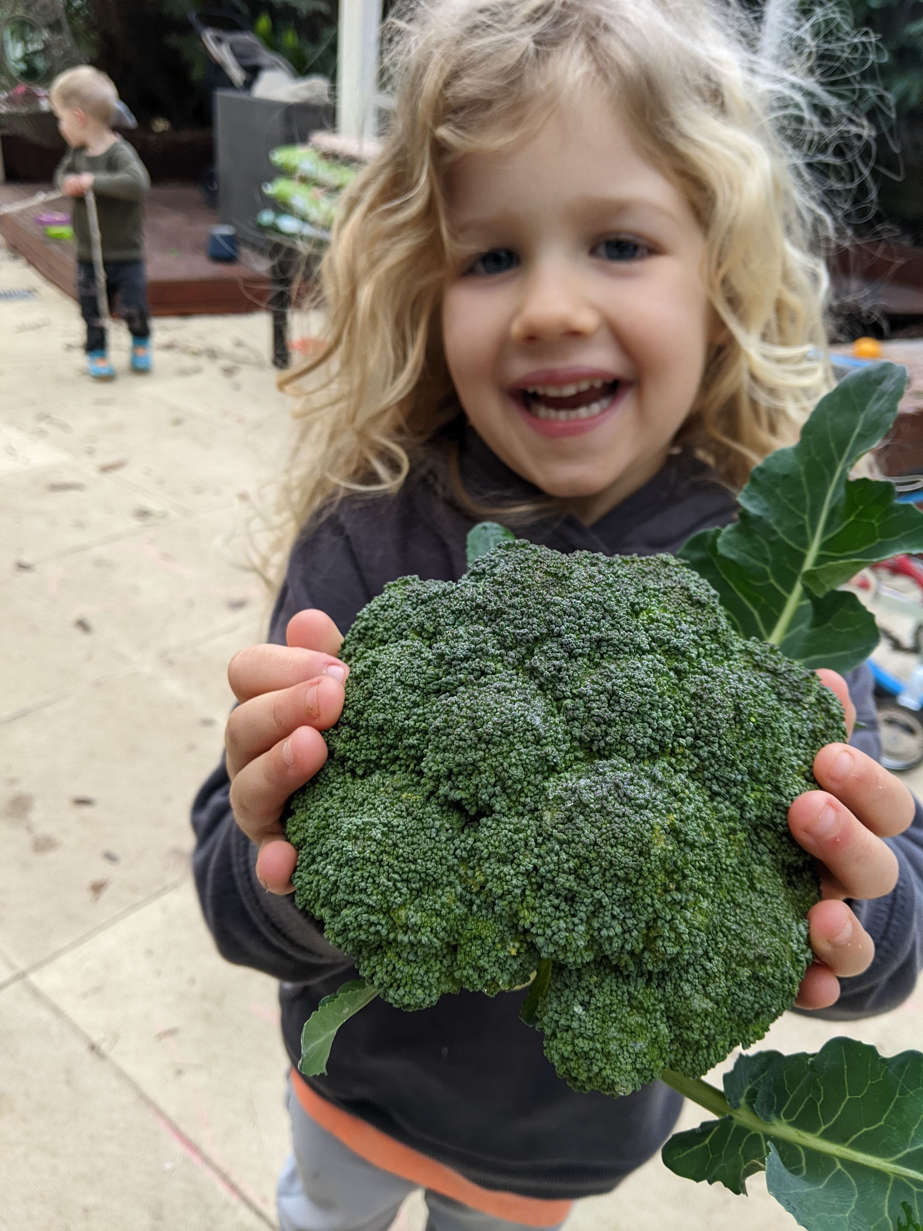 Winter Veg