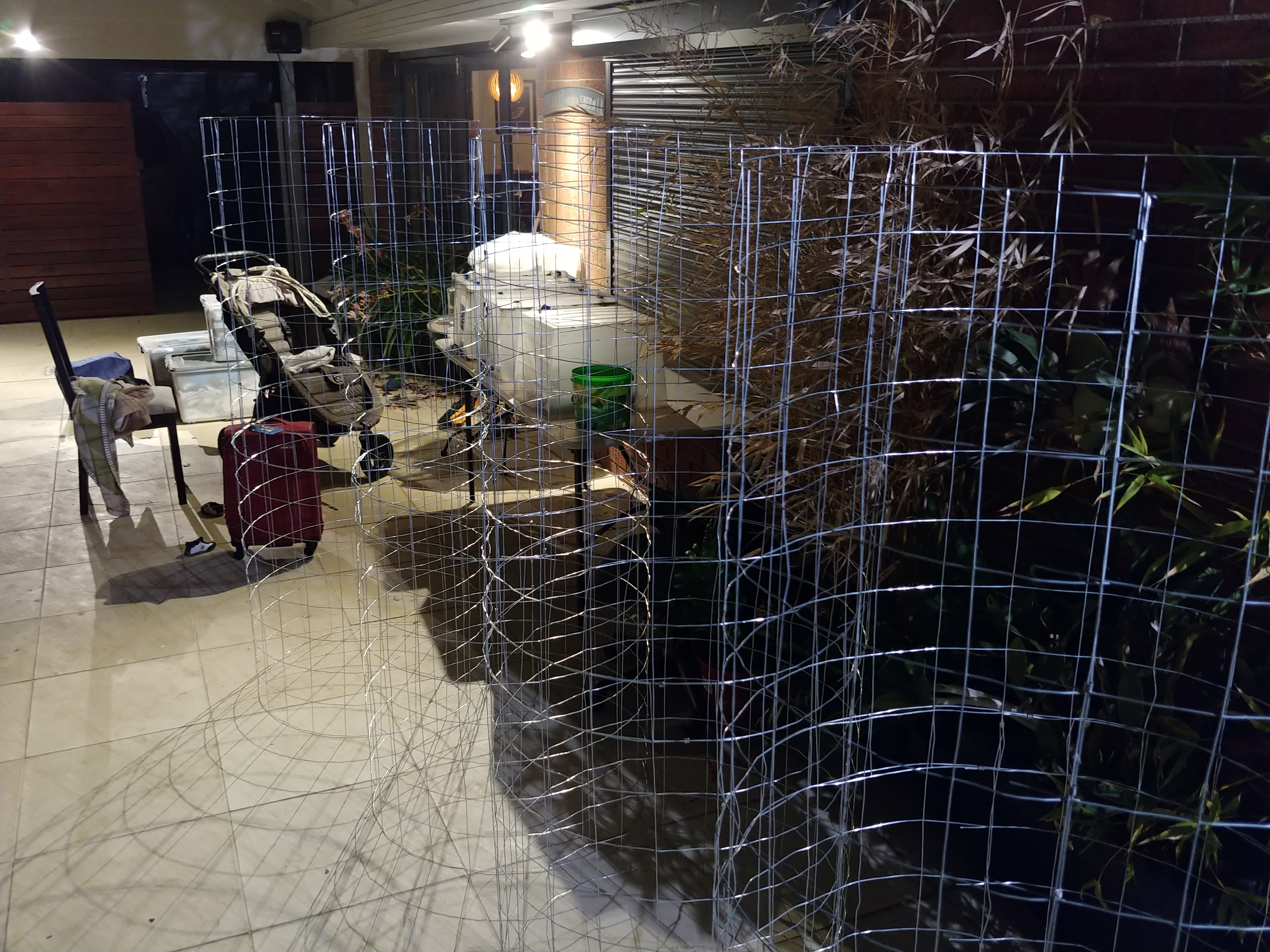 Cage