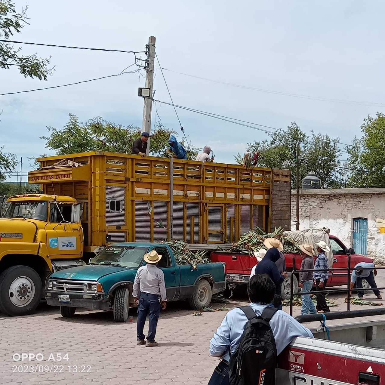 Noticias del Ayuntamiento
