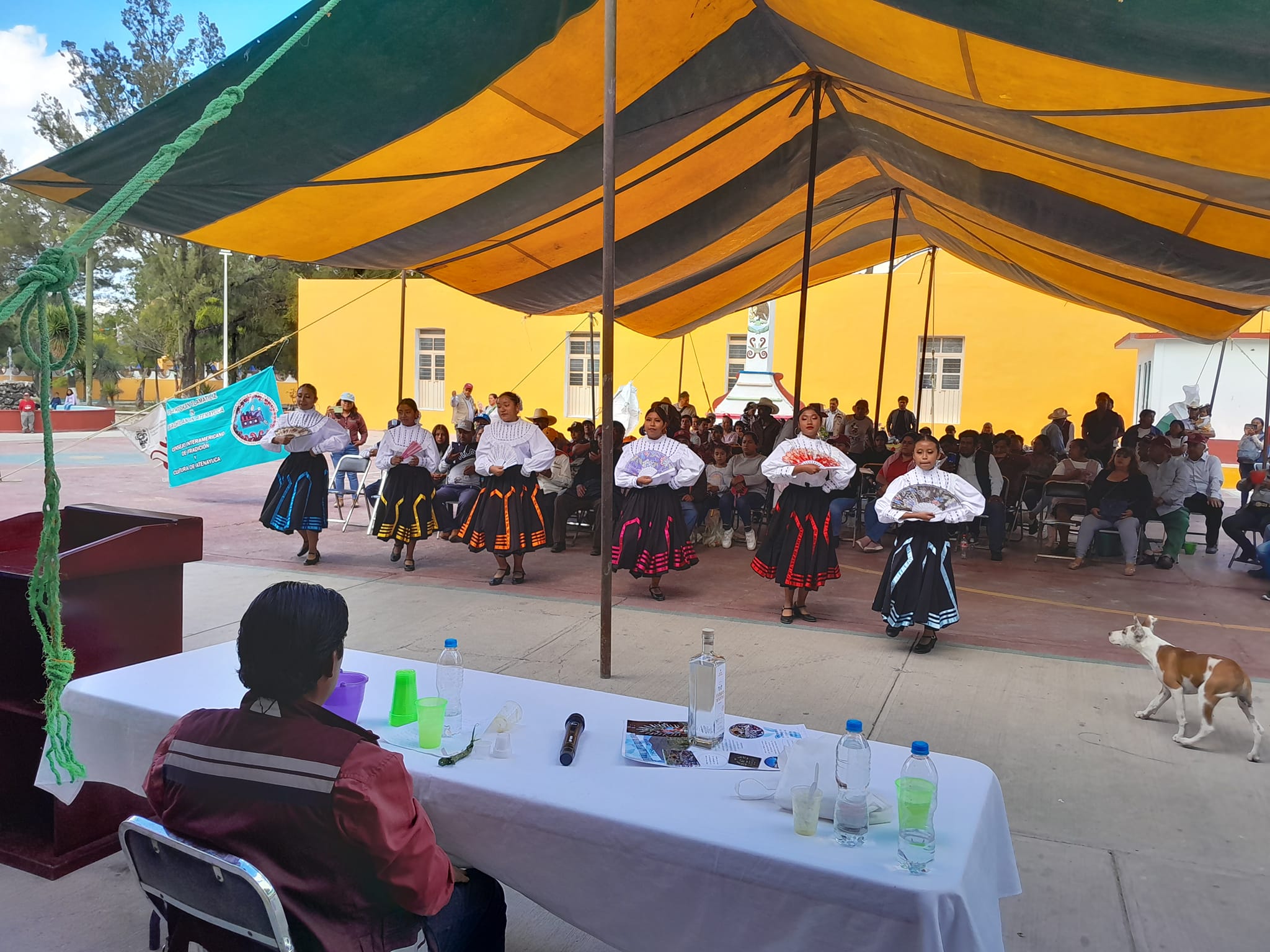 Noticias del Ayuntamiento