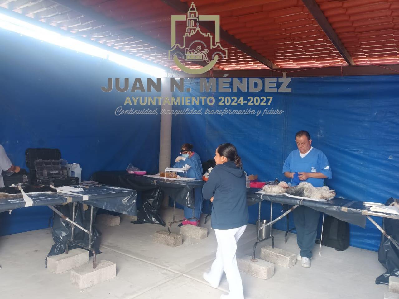 Noticias del Ayuntamiento