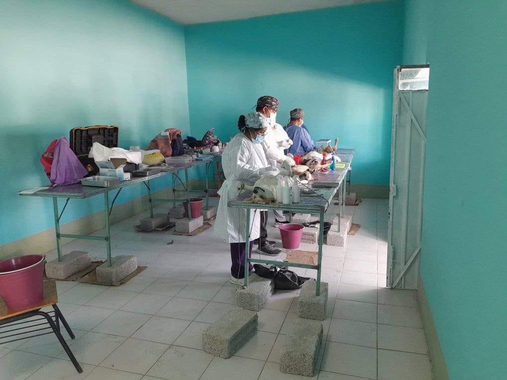 Noticias del Ayuntamiento