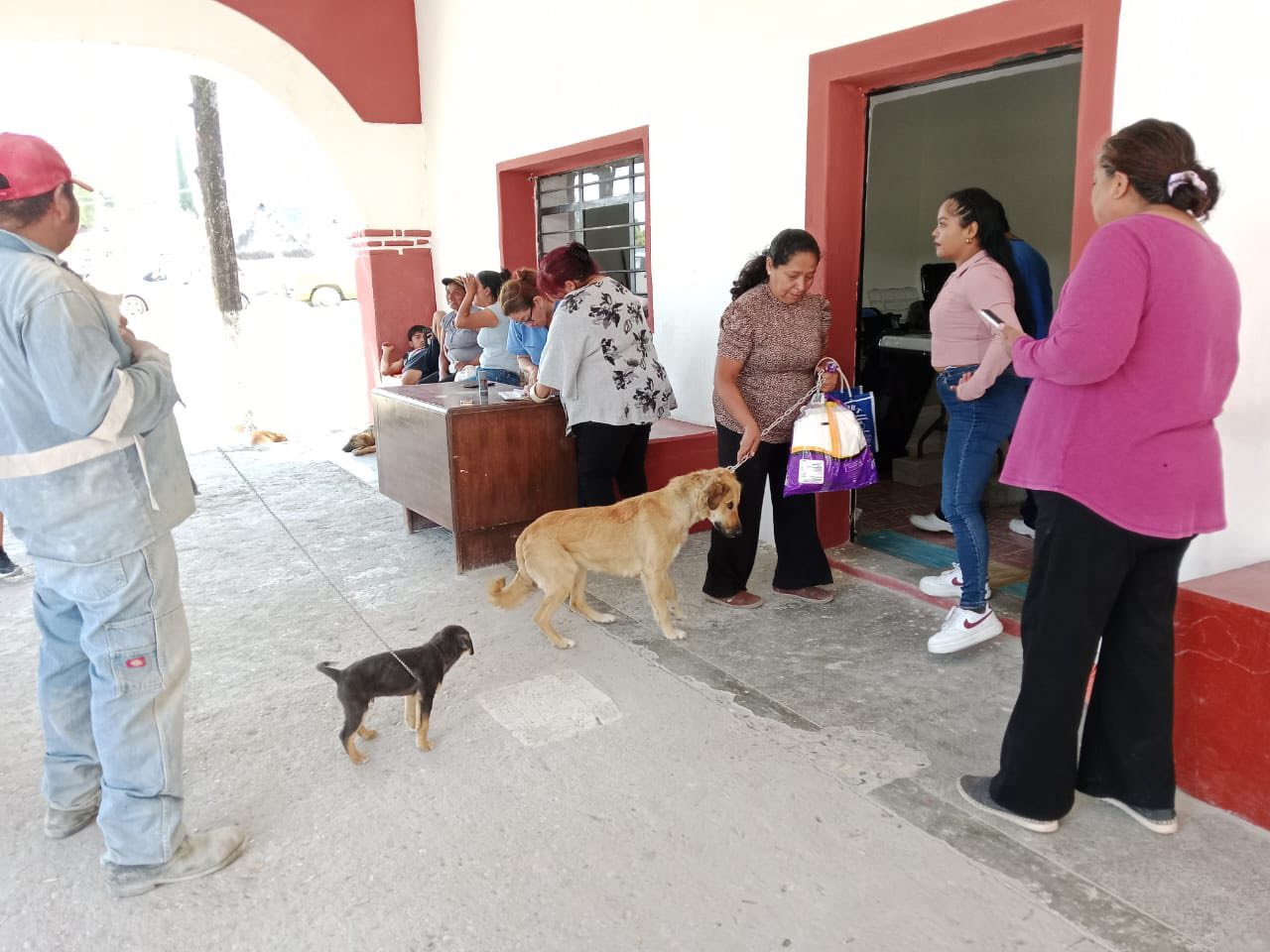 Imagen Noticias del Ayuntamiento