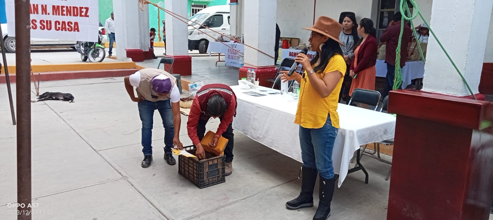 Noticias del Ayuntamiento