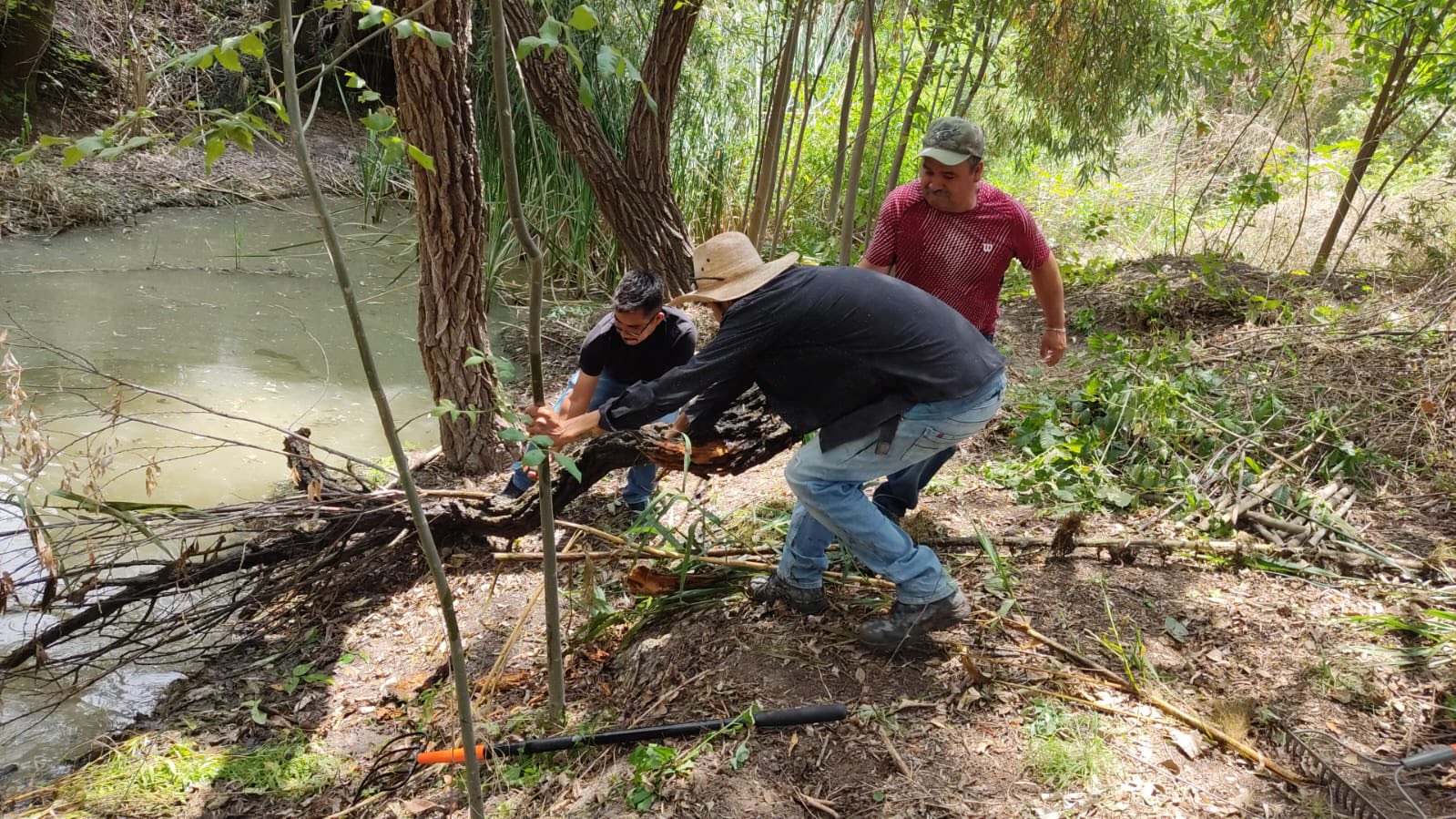 Imagen Noticias del Ayuntamiento