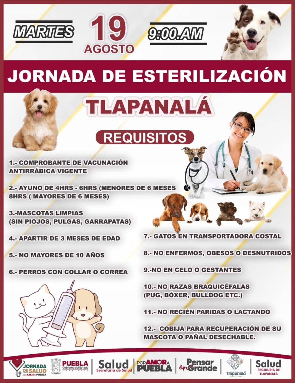 Imagen Noticias del Ayuntamiento