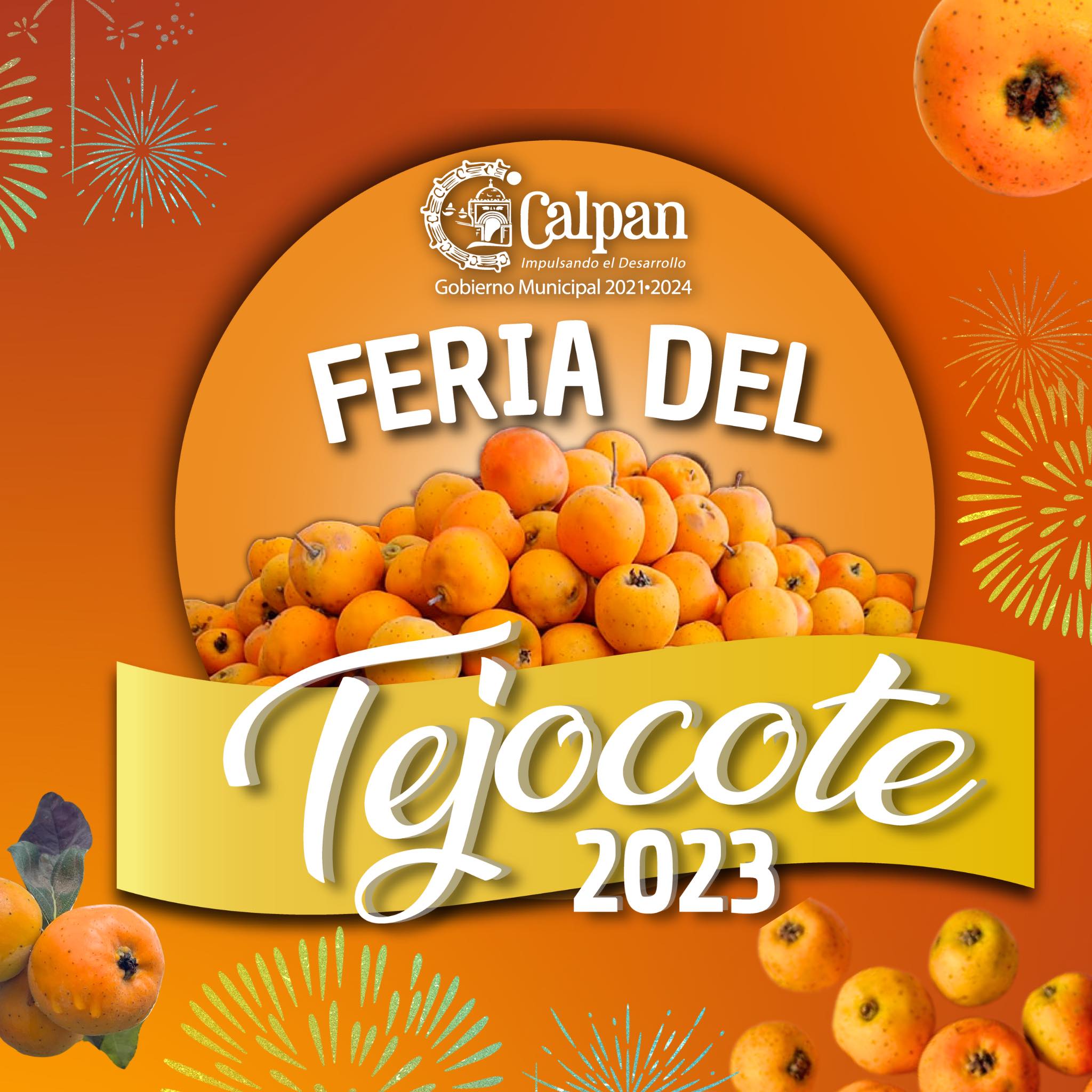 XVI Feria del Tejocote