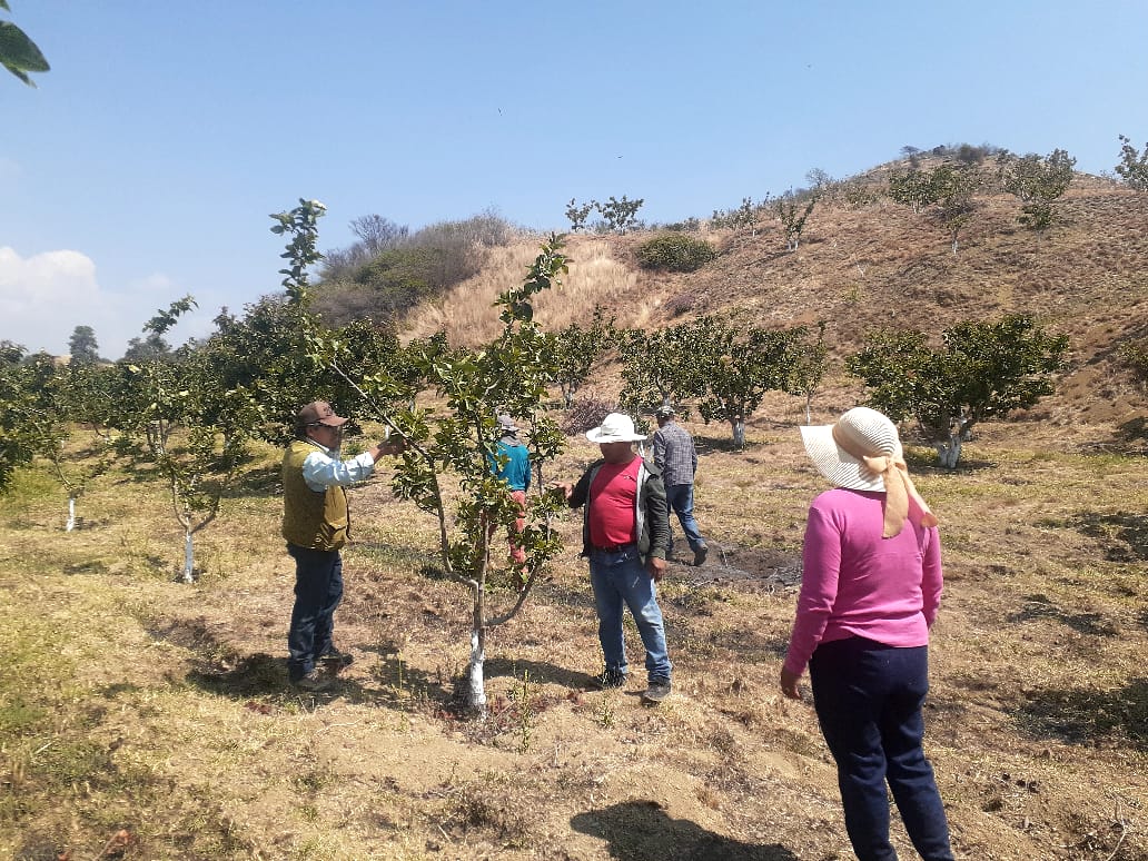 Imagen Noticias del Ayuntamiento