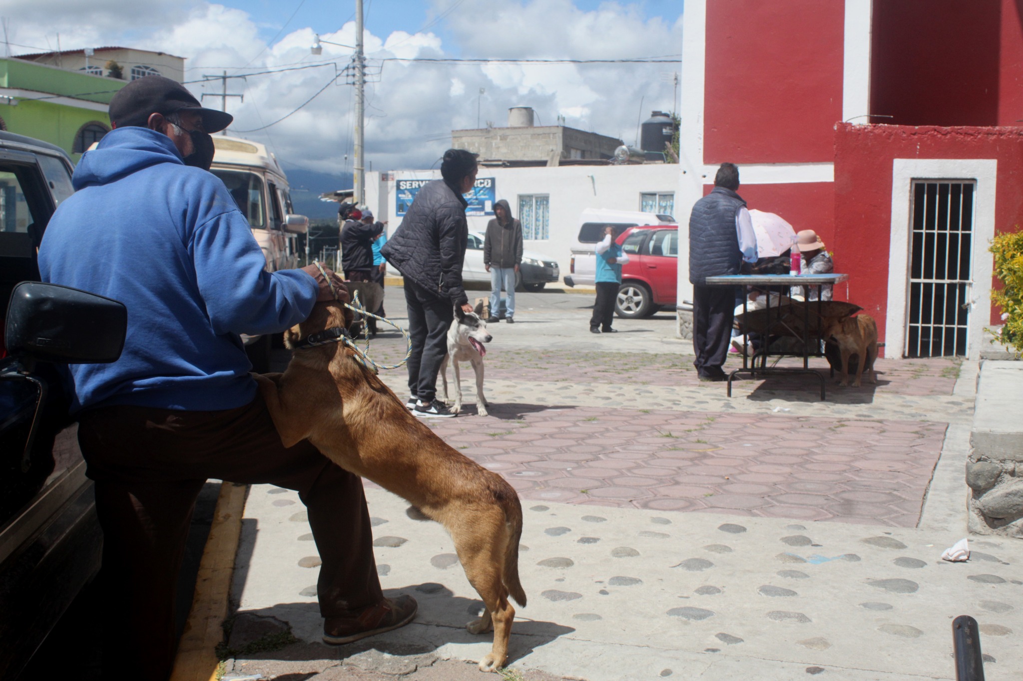 Imagen Noticias del Ayuntamiento