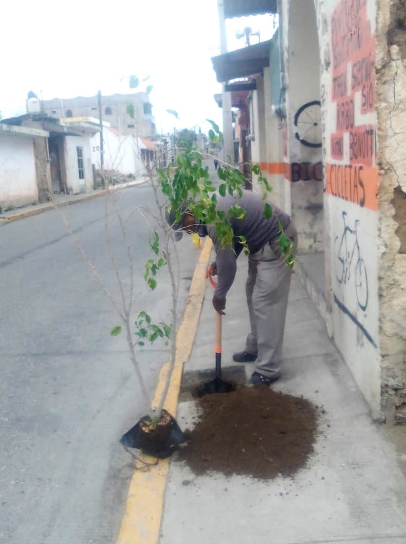 Imagen Noticias del Ayuntamiento