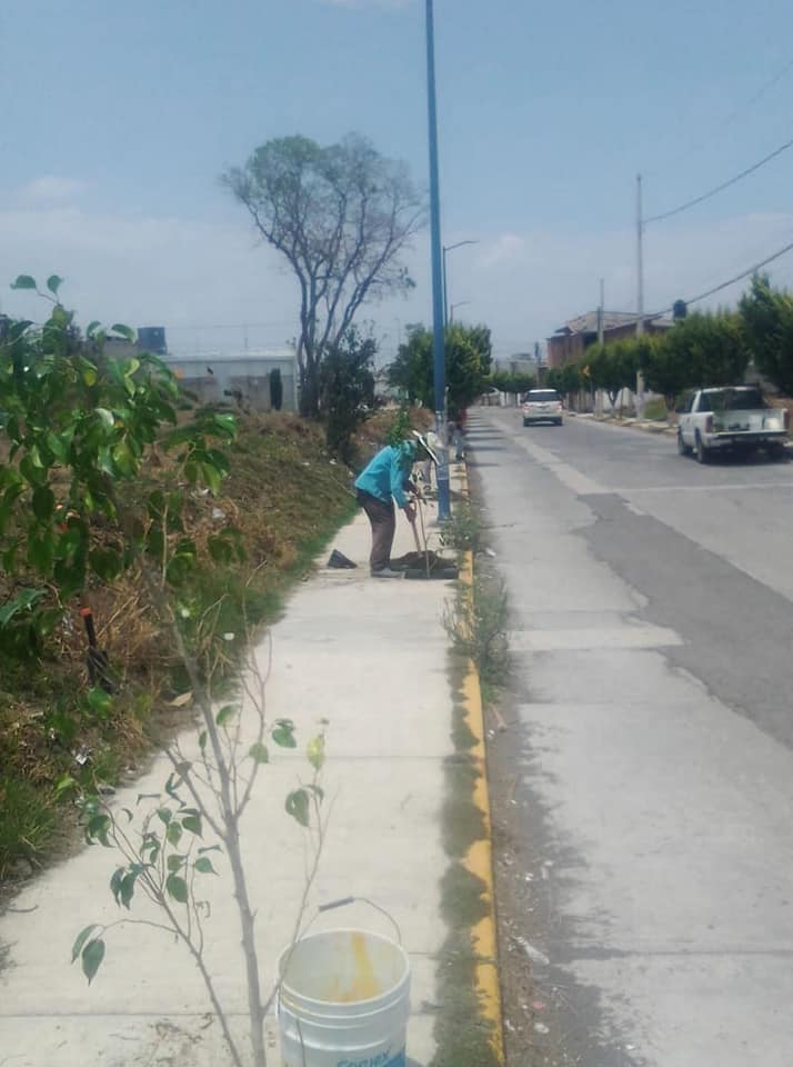 Imagen Noticias del Ayuntamiento