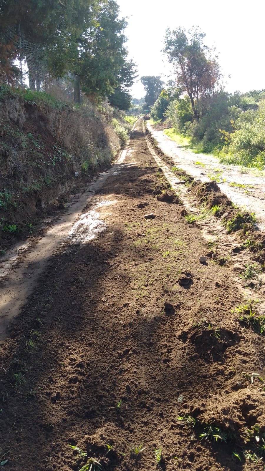 Imagen Noticias del Ayuntamiento