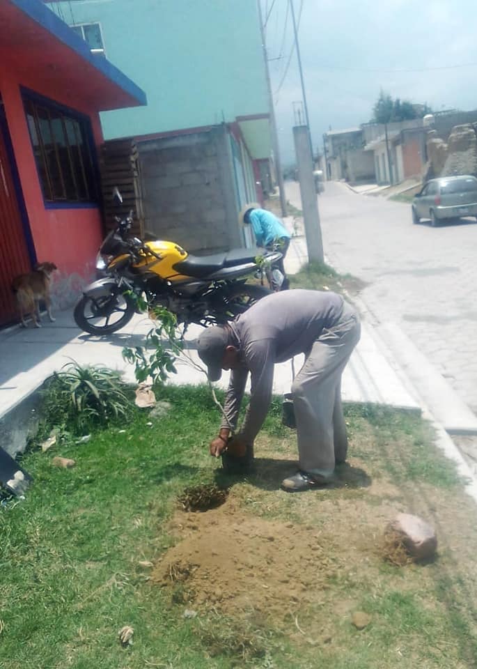 Imagen Noticias del Ayuntamiento